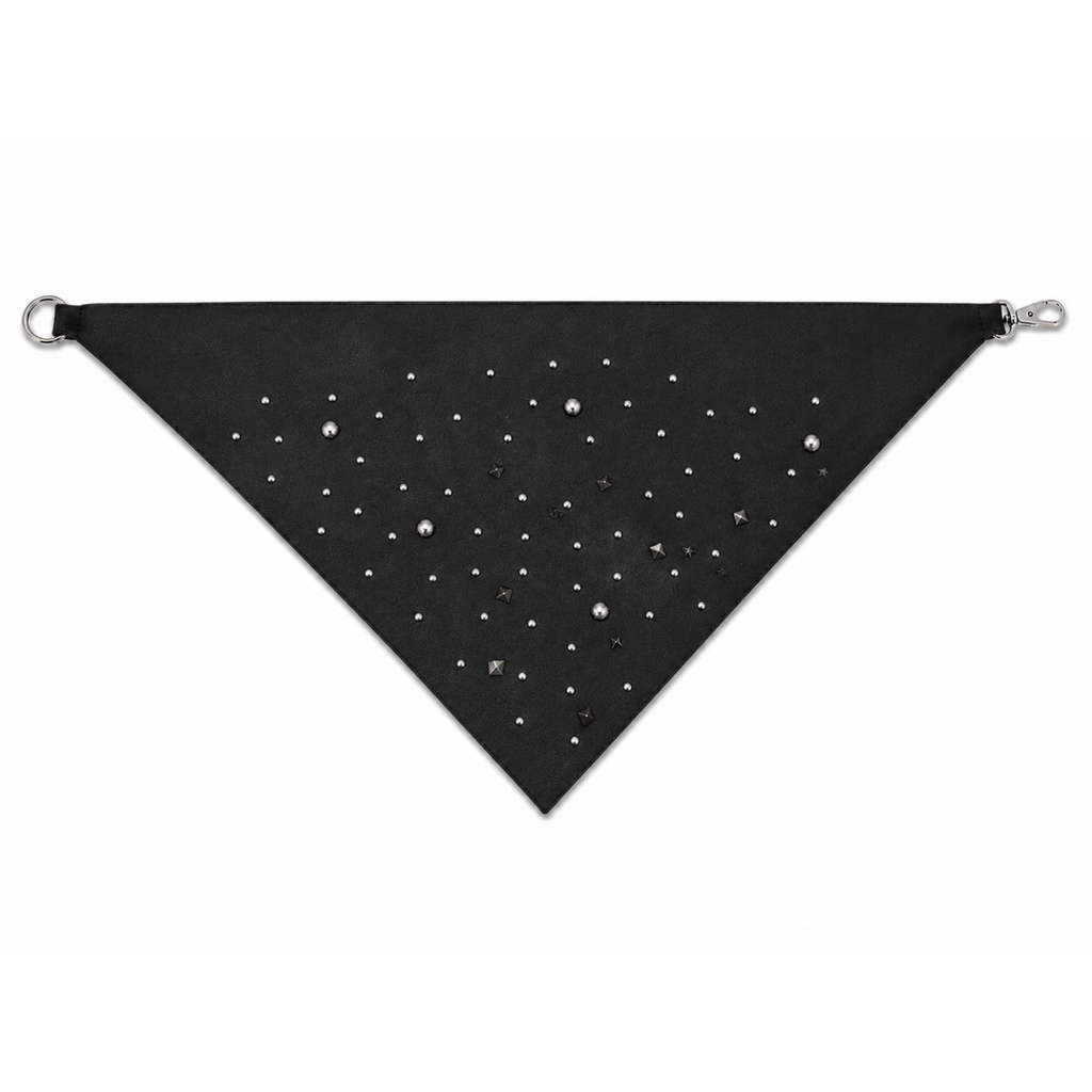 Bandana Chipra