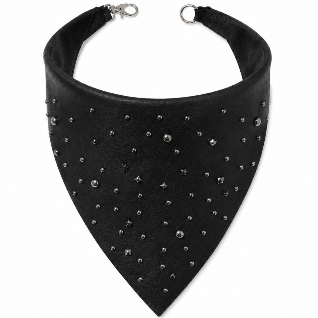 Bandana Chipra