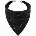Bandana Chipra